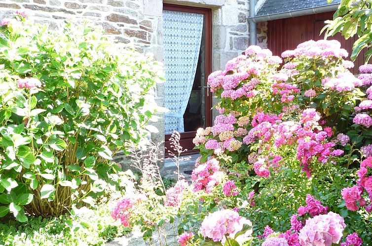 Vakantiehuis Eine kleine Oase der Ruhe am Meer