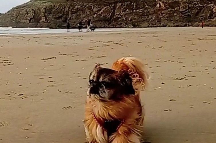 Vakantiehuis Cap Coz Cottage 500m vom Sandstrand entfernt