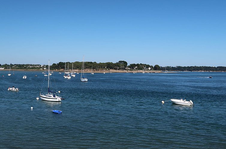 Appartement Odalys Référence Les Iles du Morbihan