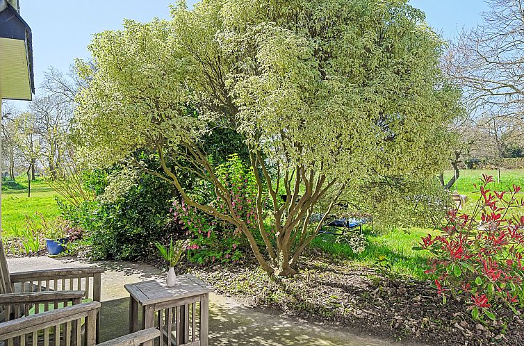 Vakantiehuis Les Châtaigners