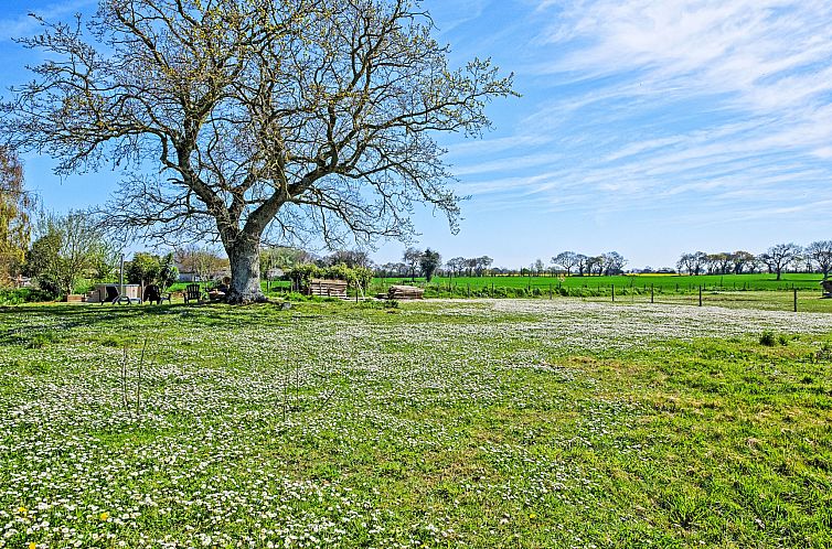 Vakantiehuis Les Châtaigners