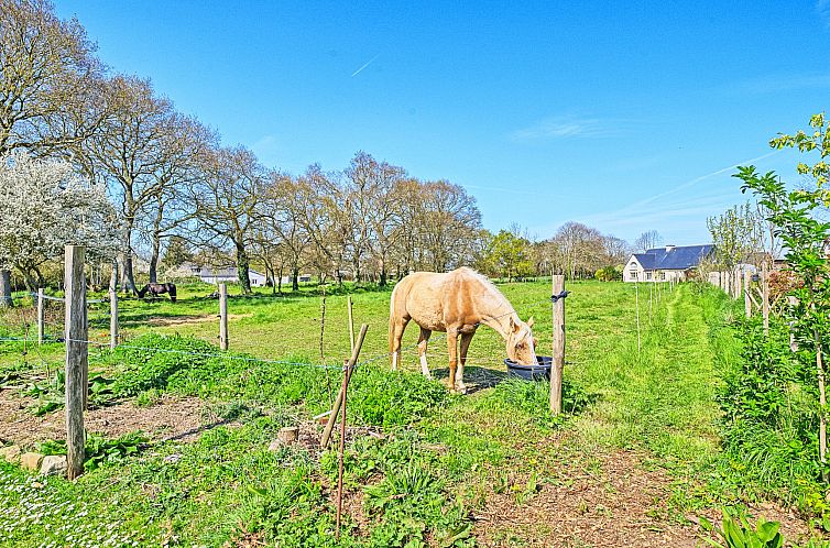 Vakantiehuis Les Châtaigners