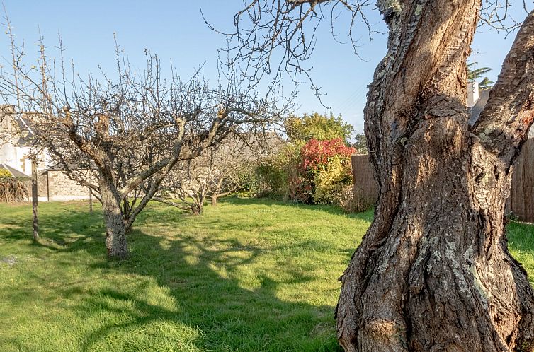 Vakantiehuis Le Petit Biyou