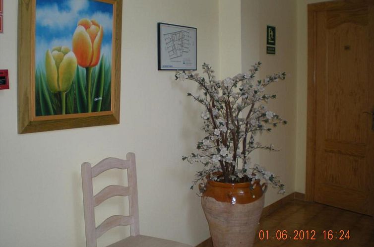 Apartamentos Casanova