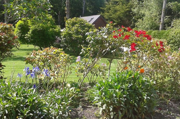Vakantiehuis Chalet "gite du bois d'amour" (Hütte des Liebe