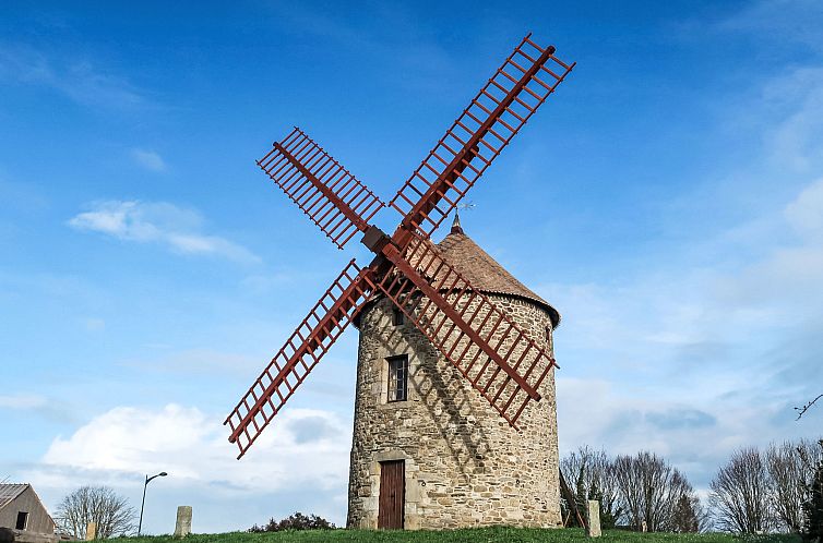 Appartement Bleu Marine