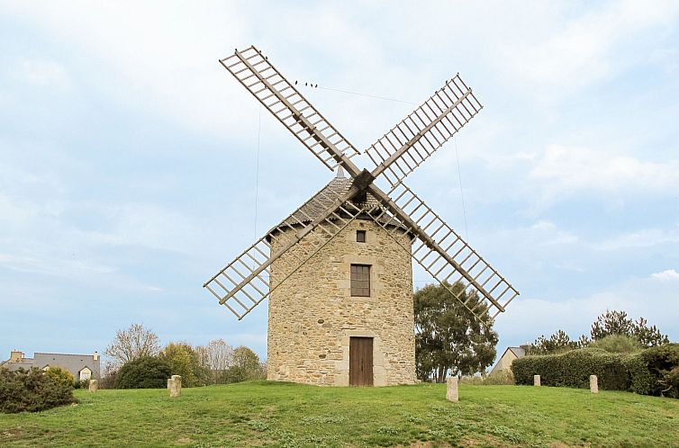 Appartement Bleu Marine