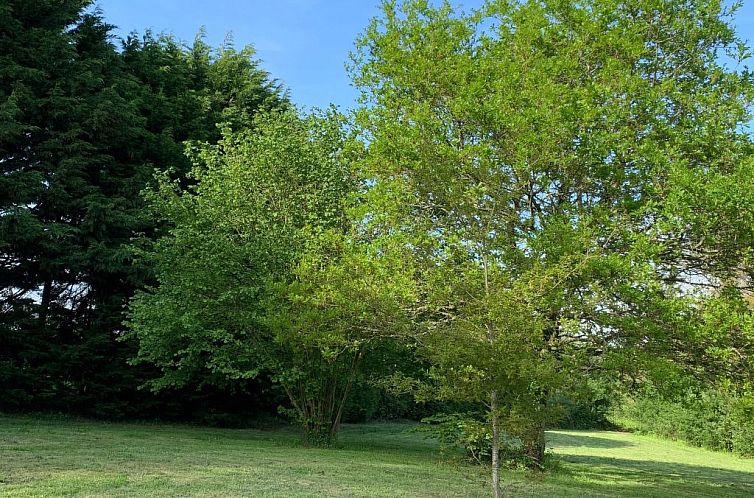 Vakantiehuis Gite - typisch bretonisches Bauernhaus mit Pool