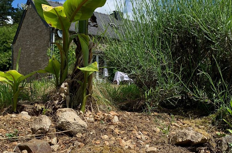 Vakantiehuis Ty Morgane-Typisch bretonisches Bauernhaus mit 