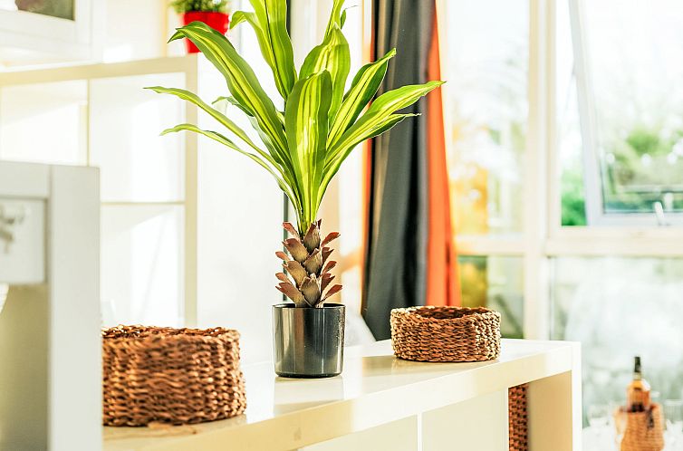 Appartement Les Balcons de la Rance