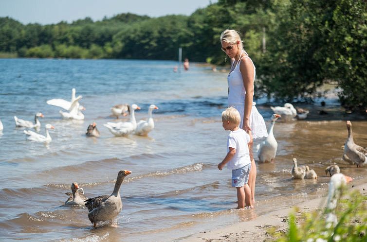 Vakantiehuis Exclusive