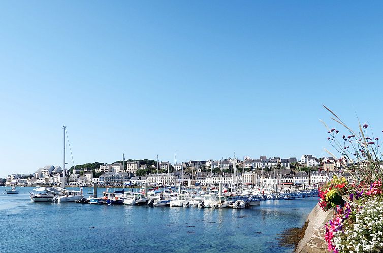 Vakantiehuis Domaine de la Baie-T3 duplex 6 pers.