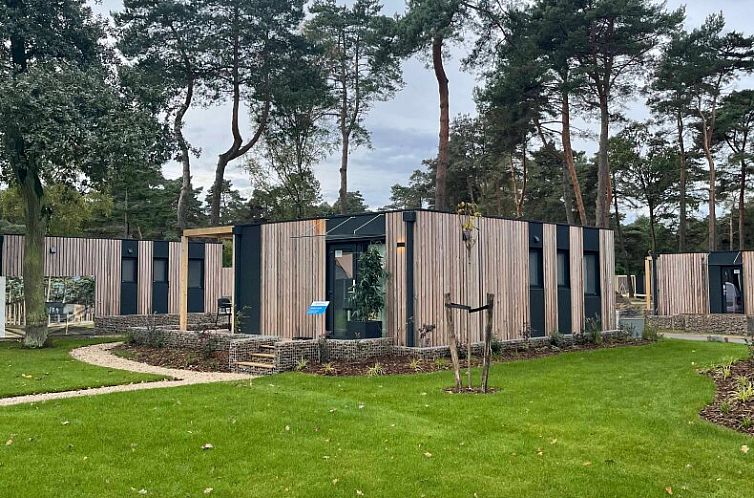 Chalet in Mol, eine moderne Ferienunterkunft auf dem Lande bei Antwerpen, Belgien, umgeben von gruenen Waeldern und einer ruhigen Umgebung.