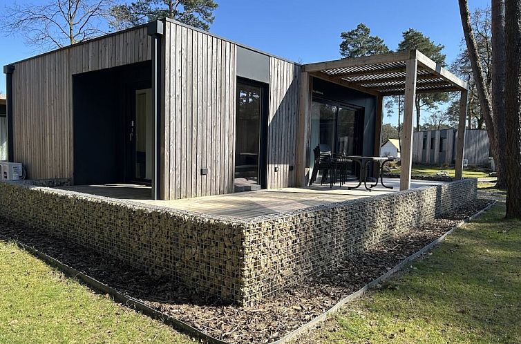 781426