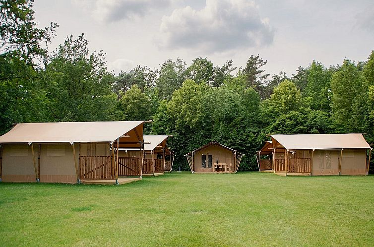Safari tent for 5 person