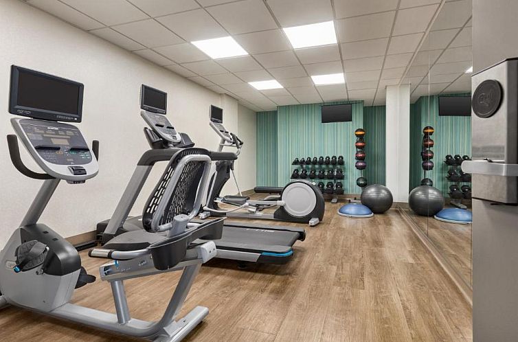Holiday Inn Express Hotel & Suites Greenville-Downtown, an I