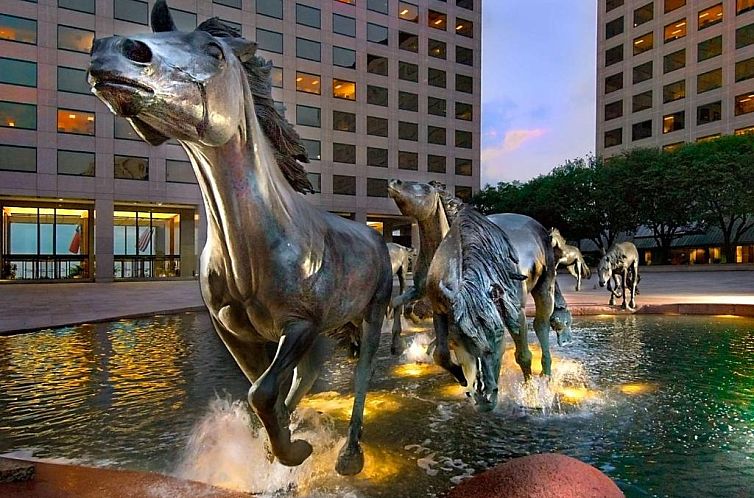 Hilton Garden Inn DFW Airport South