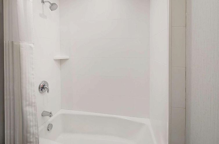 Hilton Garden Inn DFW Airport South