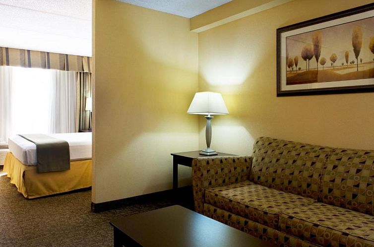 Holiday Inn Express Hotel & Suites Dallas Fort Worth Airport