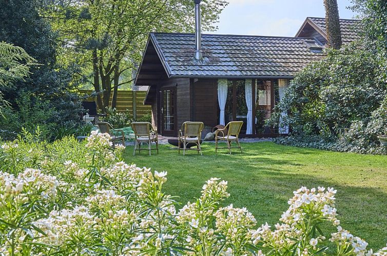 Guest house 042629 - Chalet Antwerp - Chalet Zee van tijd