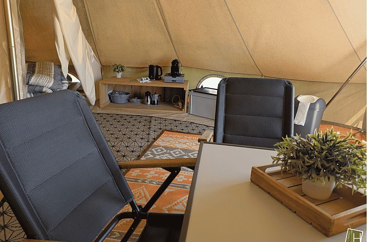 «Tipi Hoogstam»