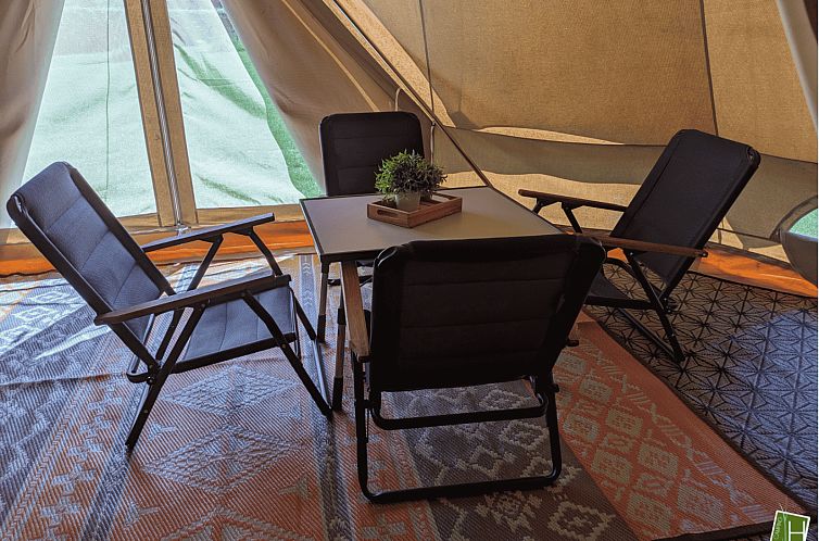 «Tipi Hoogstam»