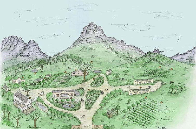 Unterkunft 0427218 - Appartement West-Kaap - Rozendal Farm Cottage