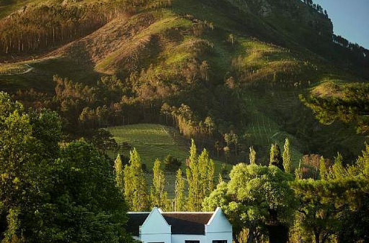 MolenVliet Vineyards