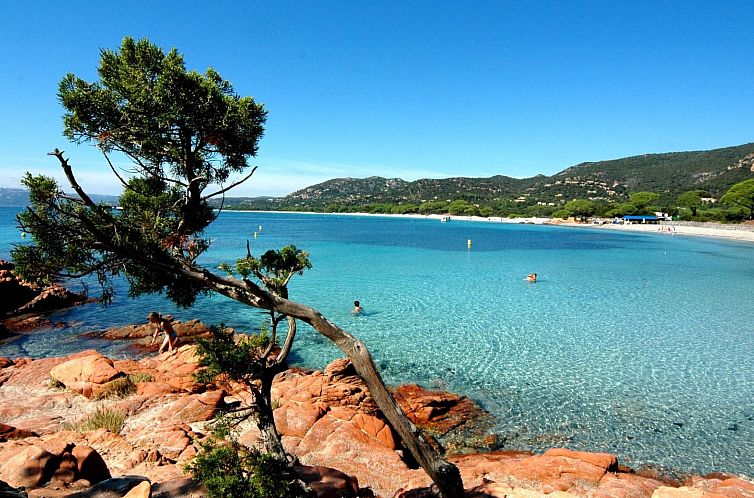 Appartement Unterkunft mit Terrasse, Klimaanlage. Schwimmbad