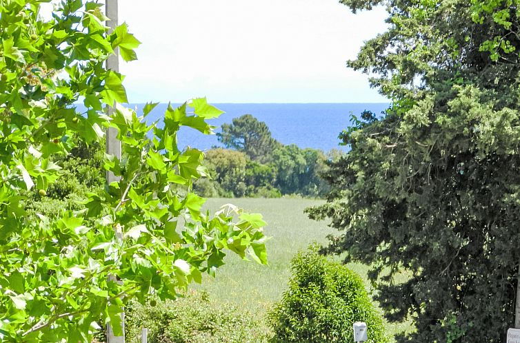 Appartement Lup - Les terrasses d'Alistro