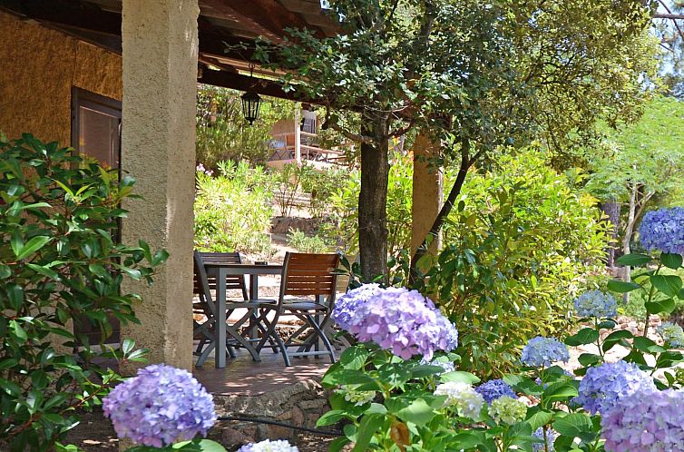 Appartement Ruhe und Entspannung inmitten der Macchia