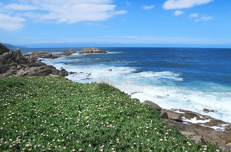 Vakantiehuis La Pinède, bungalow 4 pers.