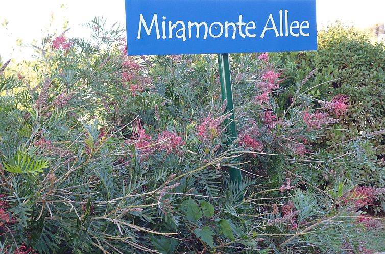 Vakantiehuis Villa Miramonte