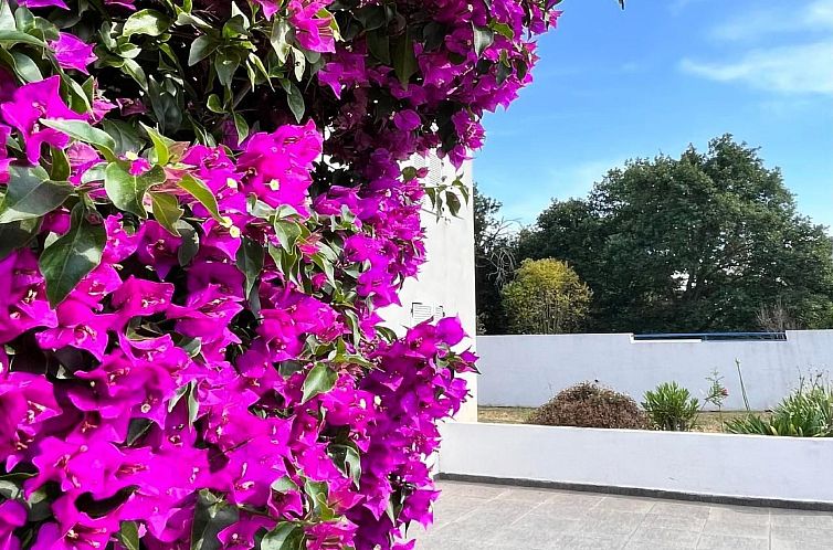 Appartement Résidence Amanda