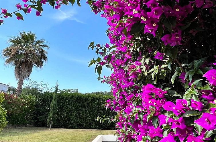 Appartement Résidence Amanda