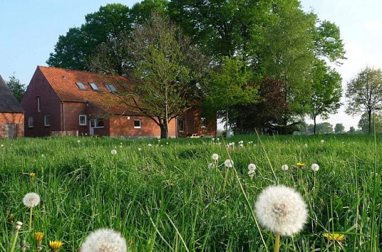 Vakantiehoeve Hannekentas in Essen, Belgie biedt een prachtig uitzicht op het groene landschap rondom de vakantieboerderij.