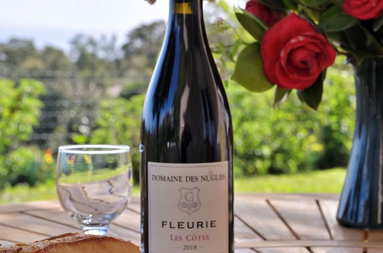 Vakantiehuis Weingut Punta della Guardia Panorama von Macchi