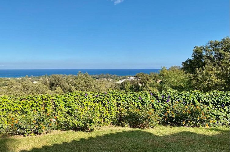 Vakantiehuis Weingut Punta della Guardia Panorama von Macchi