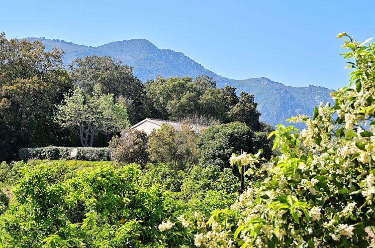 Vakantiehuis Weingut Punta della Guardia Ruhig und beschauli