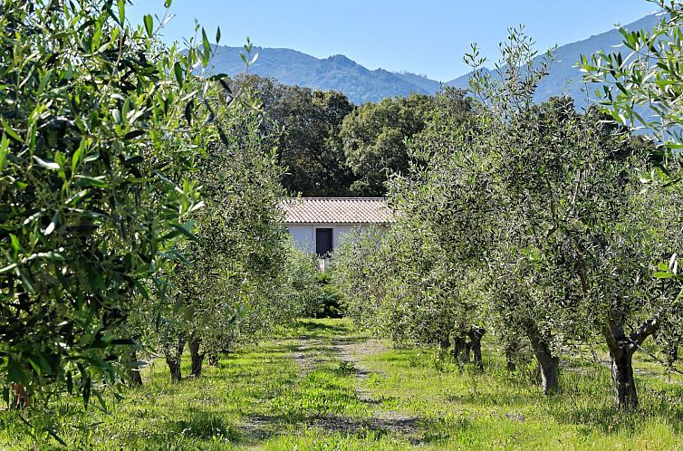 Vakantiehuis Weingut Punta della Guardia Ruhig und beschauli