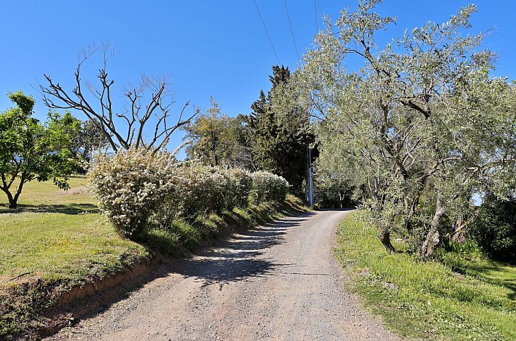 Vakantiehuis Weingut Punta della Guardia Ruhig und beschauli