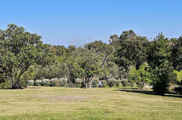 Vakantiehuis Weingut Punta della Guardia Ruhig und beschauli