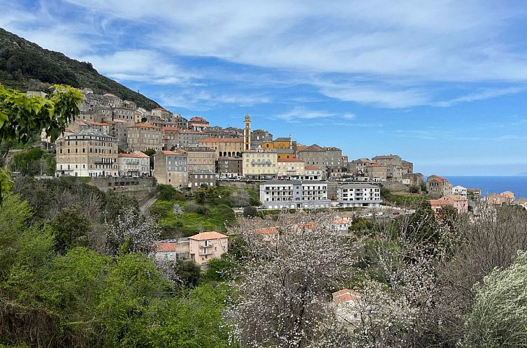 Vakantiehuis Weingut Punta della guardia zwischen Meer und G