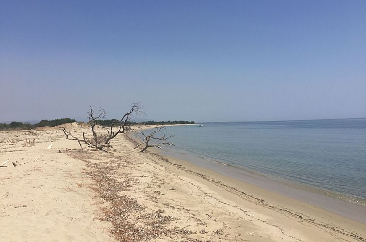 Vakantiehuis Weingut Punta della guardia zwischen Meer und G