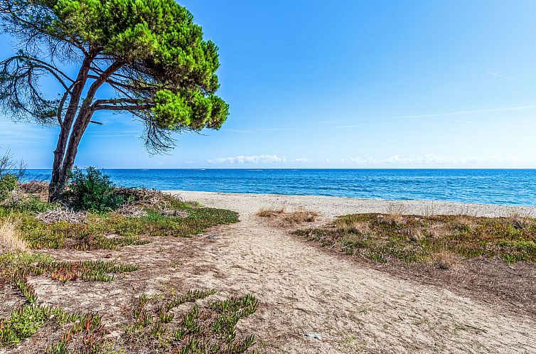 Vakantiehuis Weingut Punta della guardia zwischen Meer und G