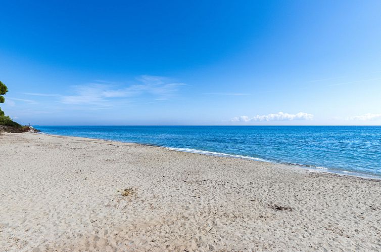 Vakantiehuis Weingut Punta della guardia zwischen Meer und G