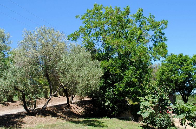 Vakantiehuis Villa Belle Vue, direkt am Meer, 1-2 Haustiere 