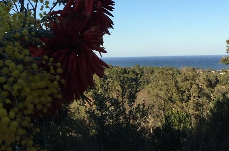 Vakantiehuis Villa Belle Vue, direkt am Meer, 1-2 Haustiere 