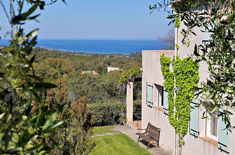 Unterkunft 0437328 - Ferienhaus Korsika - Vakantiehuis Villa mit Meerblick U Castagnu in geschützter 