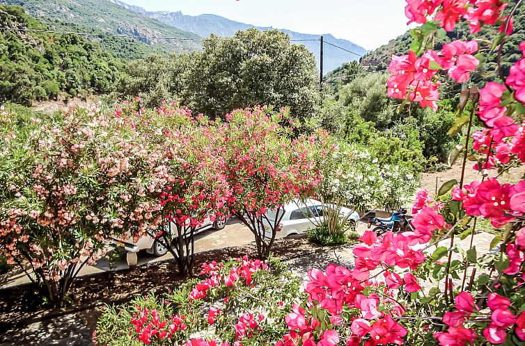 Appartement Residence Cabanaccia Studio 38m²